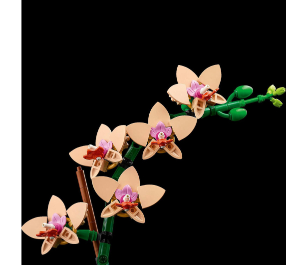 LEGO Botanicals 10343 Mała orchidea - 1283645 - zdjęcie 4